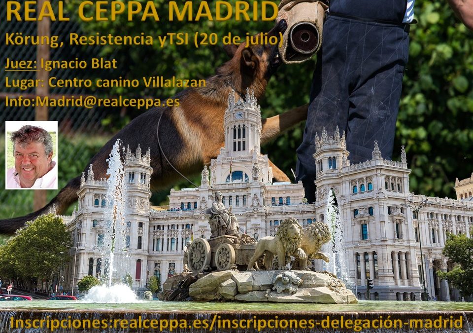 Inscripciones Körung,Resistencia y TSI Madrid