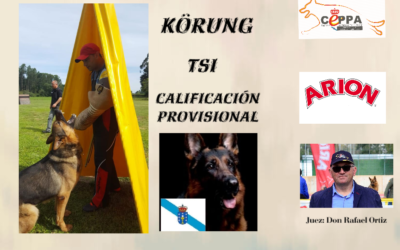 Abierta Inscripciones Delegación Galicia Körung-AD-TSI