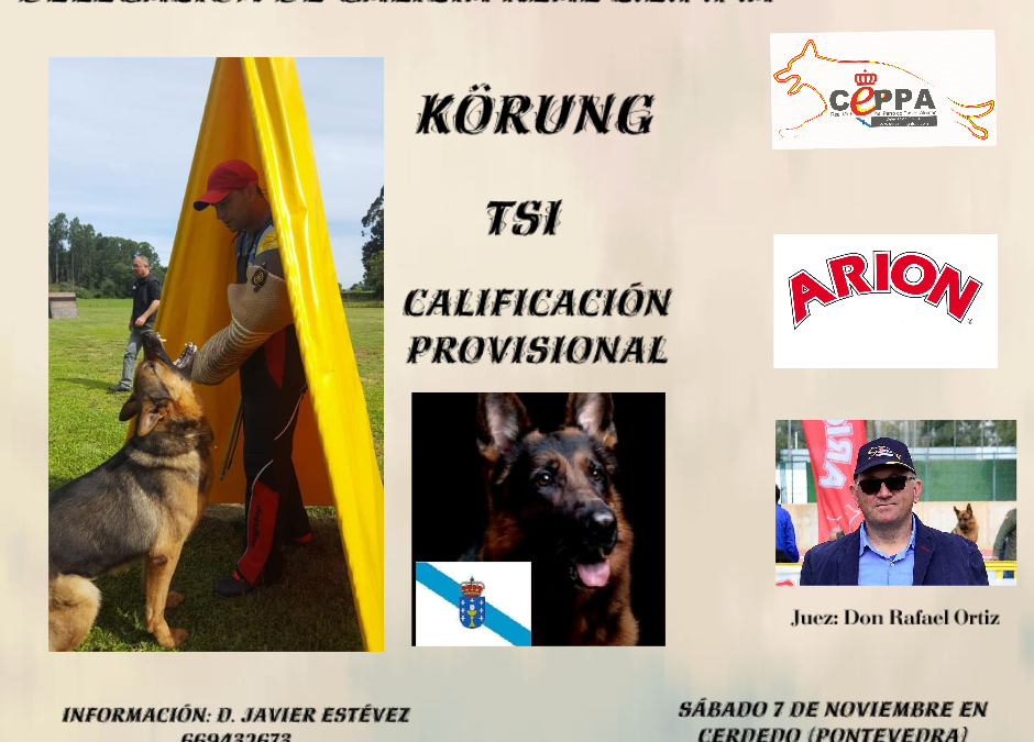 Abierta Inscripciones Delegación Galicia Körung-AD-TSI