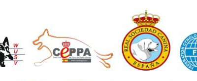 RENOVACIÓN ACUERDO DE COOPERACIÓN ENTRE EL RCEPPA Y RSCE